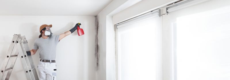 Attic Mold Remediation in Fort Lauderdale, FL