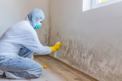 Attic Mold Removal in Broward County, FL