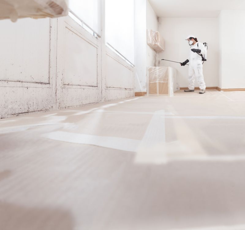 Basement Mold Remediation in Jupiter, FL