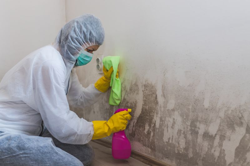 Crawl Space Mold Removal in Boca Raton, FL