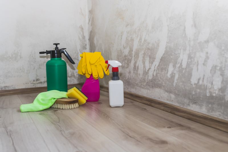 Crawl Space Mold Removal in Frisco, TX