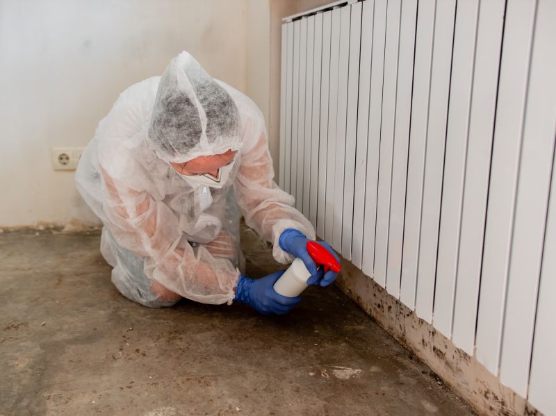 Garage Mold Remediation in Essex County, NJ