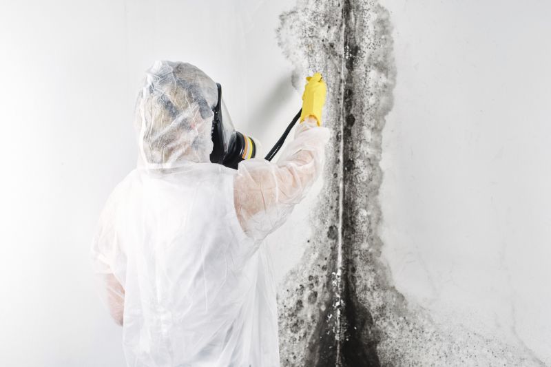 Mold Abatement Service in West Palm Beach, FL