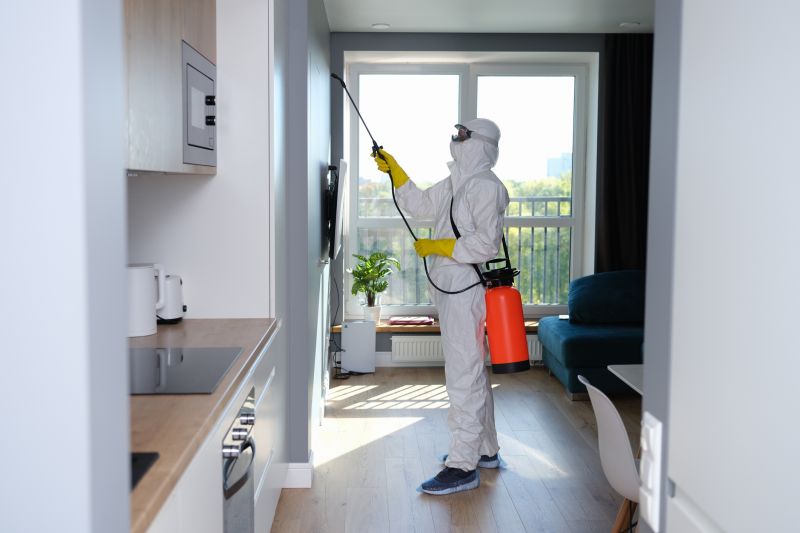 Mold Remediation Service in Boca Raton, FL