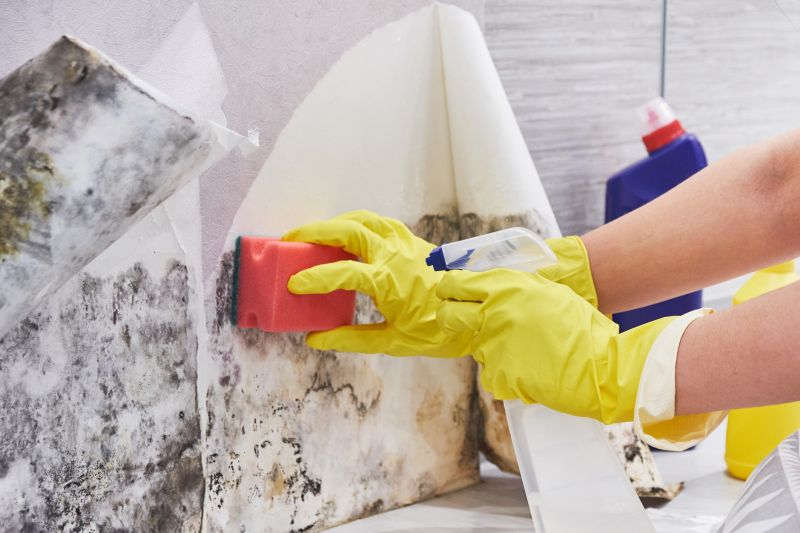 Mold Removal in Bergen County, NJ