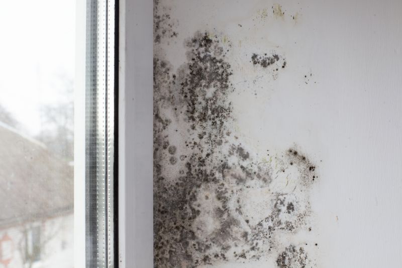 Mold Treatment Service in Bergen County, NJ