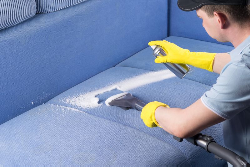 Sofa Cleaning