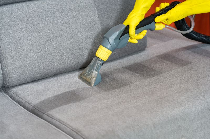 Sofa Cleaning