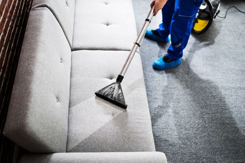 Sofa Cleaning