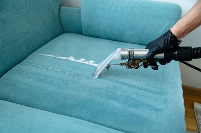 Why Professional Upholstery And Furniture Cleaning Matters
