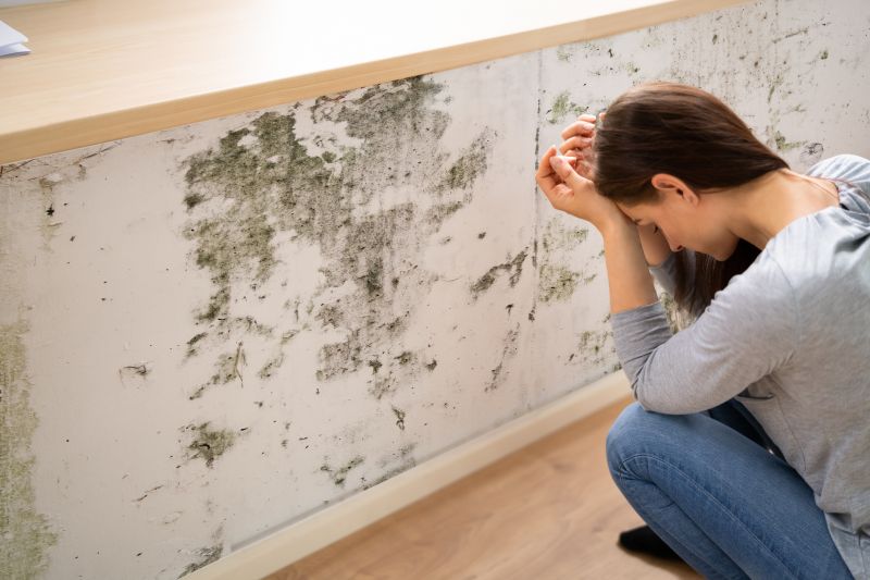 Attic Mold Remediation in Boca Raton, FL