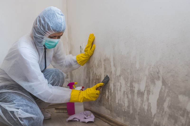 Attic Mold Removal in Fort Lauderdale, FL