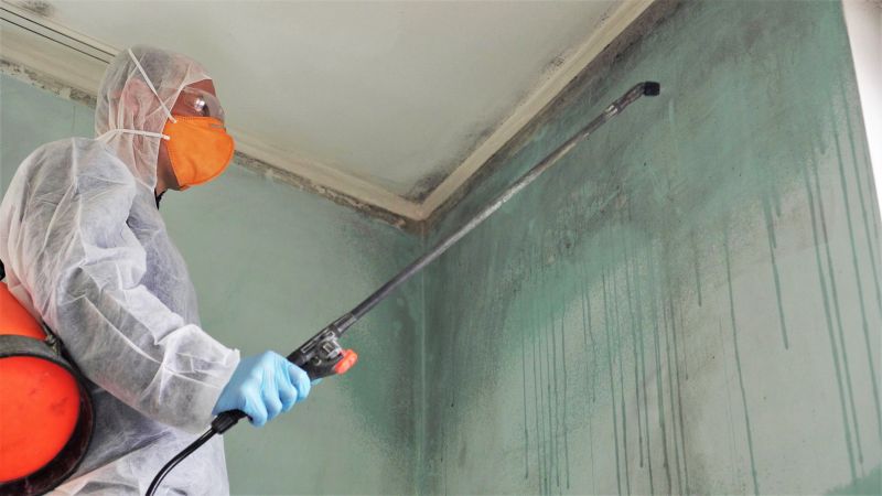 Crawl Space Mold Removal in Fort Lauderdale, FL