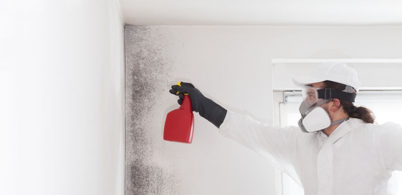 Crawlspace Mold Remediation in Broward County, FL