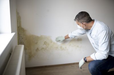 Crawlspace Mold Remediation in Boca Raton, FL