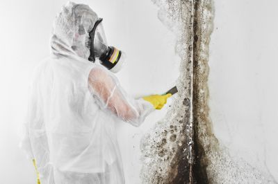 Mold Remediation Service in Fort Worth, TX